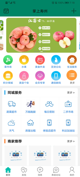 开云网站4