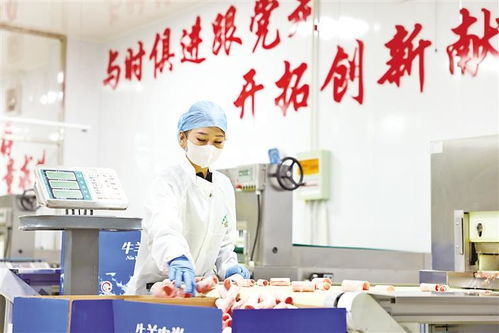 寧夏騰達(dá)食品帶動(dòng)興涇鎮(zhèn)村民就業(yè)村集體增收